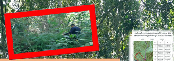 วันที่ 5 พฤษภาคม หน่วยป้องกันรักษาป่าที่ รย.1 (บ้านนา-ทุ่งควายกิน) ได้ออกลาดตระเวนในเขตพื้นที่รับผิดชอบบริเวณป่าเขาทับกลาง หมู่ที่ 2 ตำบลคลองปูน อำเภอแกลง จังหวัดระยอง จำนวน 1 แปลง เนื้อที่ 56-1-07 ไร่ พื้นที่ป่ายังคงสภาพเป็นป่าสมบูรณ์ ไม่พบการกระทำความผิดตามกฏหมายว่าด้วยการป่าไม้