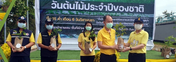 วันที่ 28 พฤษภาคม 2564 นายสายัณห์ ศักดิ์ศรีวัฒนา ผู้อำนวยการศูนย์ป่าไม้ชลบุรี แทนผู้อำนวยการสำนักจัดการทัพยากรป่าไม้ที่ 9 (ชลบุรี) ร่วมปลูกป่าชายเลน เนื่องในวันต้นไม้ประจำปีของชาติ โดยมีนายวิวัฒน์ มหาผลศิริกุล รองผู้ว่าราชการจังหวัดชลบุรี เป็นประธานในพิธี ณ บริเวณพื้นที่โรงปรับปรุงคุณภาพน้ำชลบุรี หมู่ที่ 3 ตำบลเสม็ด อำเภอเมือง จังหวัดชลบุรี