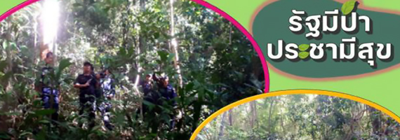 วันที่ 6 พฤษภาคม 2564 หน่วยป้องกันรักษาป่าที่ รย.3 (ห้วยทับมอญ) ได้ออกลาดตระเวนในเขตพื้นที่รับผิดชอบ บริเวณป่าเขาไม้นวล หมู่ที่ 3 ตำบลป่ายุบใน อำเภอวังจันทร์ จังหวัดระยอง จำนวน 1 แปลง เนื้อที่ 28-2-53 ไร่ พื้นที่ป่ายังคงสภาพเป็นป่าสมบูรณ์ ไม่พบการกระทำความผิดตามกฏหมายว่าด้วยการป่าไม้