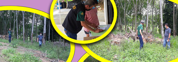 วันที่ 6 พฤษภาคม 2564 หน่วยป้องกันรักษาป่าที่ รย.2 (บ้านค่าย) ร่วมกับผู้ใหญ่บ้านหมู่ที่ 5 ตำบลสำนักทอง อำเภอเมือง จังหวัดระยอง ได้ร่วมกันตรวจสอบกรณีเรื่องร้องเรียนว่ามีการบุกรุกตัดไม้ในพื้นที่ป่าสงวนแห่งชาติ บริเวณหมู่ที่ 5 ตำบลสำนักทอง อำเภอเมือง จังหวัดระยอง (หน้าบรุ๊คไซต์วัลเล่ย์) โดยระบุว่ามีการจ่ายเงินให้กับเจ้าหน้าที่ ทางผู้แจ้งจึงอยากให้เจ้าหน้าที่จากทางหน่วยงานในกรมเข้ามาตรวจสอบโดยด่วน คณะเจ้าหน้าที่ได้ร่วมกันตรวจสอบบริเวณบ้านเลขที่ 119/3 หมู่ที่ 5 ตำบลสำนักทอง อำเภอเมือง จังหวัดระยอง พบว่ามรการโค่นไม้ยางพาราจริง และนางกนกวรรณฯ แจ้งว่า ตนเป็นผู้ตัดโค่นยางพาราจริง เนื่องจากช่วงนี้มียายุฝน เกรงว่าต้นยางพาราจะโค่นล้มทับบ้านเรือนอันอาจทำให้เกิดอันตรายต่อชีวิตและทรัพย์สินได้ และได้โค่นไม้ยางพาราไป 22 ต้น นางกนกวรรณฯ ได้แจ้งว่าตนได้ทำกินในที่ดังกล่าวต่อเนื่องมาเป็นเวลา 40 ปี และกรณีที่ผู้ร้องเรียน ได้ร้องเรียนว่าได้จ่ายเงินให้กับเจ้าหน้าที่เป็นจริงหรือไม่ นางนกนกวรรณฯ ได้แจ้งกับเจ้าหน้าที่ว่าไม่เคยได้จ่ายเงินให้กับเจ้าหน้าที่ หรือผู้หนึ่งผู้ใด ตามที่ผู้ร้องเรียนแจ้ง บริเวณพื้นที่ที่ตรวจสอบไม่อยู่ในเขตป่าสงวนแห่งชาติ จึงได้จัดทำบันทึกตรวจสอบและรายงานผู้บังคับบัญชาต่อไป