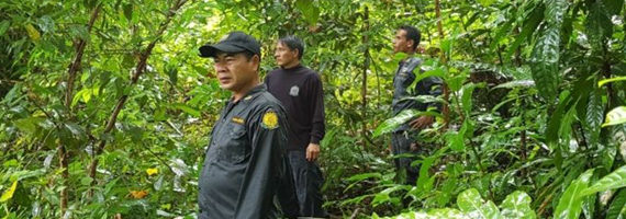 วันที่ 28 พฤษภาคม 2564 หน่วยป้องกันรักษาปาที่ ตร.4 (ด่านชุมพล) ได้ออกลาดตระเวนในเขตพื้นที่รับผิดชอบ บริเวณป่าเขาถ้ำ หมู่ที่ 3 ตำบลด่านชุมพล อำเภอบ่อไร่ จังหวัดตราด จำนวน 1 แปลง เนื้อที่ 46-1-16 ไร่ พื้นที่ป่ายังคงสภาพเป็นป่าสมบูรณ์ ไม่พบการกระทำความผิดตามกฏหมายว่าด้วยการป่าไม้