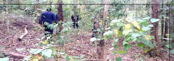 วันที่ 29 พฤษภาคม 2564 หน่วยป้องกันรักษาป่าที่ รย.3 (ห้วยทับมอญ) ได้ออกลาดตระเวนในเขตพื้นที่รับผิดชอบ บริเวณป่าเขาระอาง หมู่ที่ 5 ตำบลเขาน้อย อำเภอเขาชะเมา จังหวัดระยอง จำนวน 1 แปลง เนื้อที่ 25-0-74 ไร่ พื้นที่ป่ายังคงสภาพเป็นป่าสมบูรณ์ ไม่พบการกระทำความผิดตามกฏหมายว่าด้วยการป่าไม้