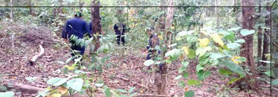 วันที่ 29 พฤษภาคม 2564 หน่วยป้องกันรักษาป่าที่ รย.3 (ห้วยทับมอญ) ได้ออกลาดตระเวนในเขตพื้นที่รับผิดชอบ บริเวณป่าเขาระอาง หมู่ที่ 5 ตำบลเขาน้อย อำเภอเขาชะเมา จังหวัดระยอง จำนวน 1 แปลง เนื้อที่ 25-0-74 ไร่ พื้นที่ป่ายังคงสภาพเป็นป่าสมบูรณ์ ไม่พบการกระทำความผิดตามกฏหมายว่าด้วยการป่าไม้