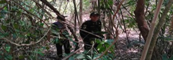 วันที่ 30 พฤษภาคม 2564 หน่วยป้องกันรักษาป่าที่ ตร.2 (คลองห้วยแร้ง) ได้ออกลาดตระเวนเขตพื้นที่รับผิดชอบ ป่าสงวนแห่งชาติ ป่าเขาบรรทัด บ้านสะพานหิน หมู่ที่ 5 ตำบลแหลมกลัด อำเภอเมือง จังหวัดตราด จำนวน 1 แปลง เนื้อที่ 51-2-36 ไร่ ผลการตรวจลาดตระเวน พื้นที่ป่ายังคงสภาพเป็นป่าสมบูรณ์ ไม่พบการกระทำความผิดตามกฏหมายว่าด้วยการป่าไม้แต่อย่างใด