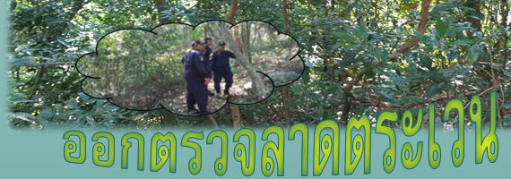 วันที่ 31 พฤษภาคม 2564 หน่วยป้องกันรักษาป่าที่ รย.1 (บ้านนา-ทุ่งควายกิน) ได้ออกลาดตระเวนในเขตพื้นที่รับผิดชอบบริเวณป่าเขาวงเวียง หมู่ที่ 7 ตำบลชำฆ้อ อำเภอเขาชะเมา จังหวัดระยอง จำนวน 1 แปลง เนื้อที่ 71-3-90 ไร่ พื้นที่ป่ายังคงสภาพเป็นป่าสมบูรณ์ ไม่พบการกระทำความผิดตามกฏหมายว่าด้วยการป่าไม้