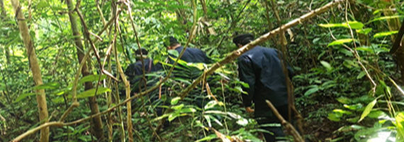 วันที่ 31 พฤษภาคม 2564 หน่วยป้องกันรักษาป่าที่ รย.2 (บ้านค่าย) ได้ออกตรวจลาดตระเวนในเขตพื้นที่รับผิดชอบบริเวณเขาตะเภาคว่ำ หมู่ที่ 7 ตำบลเพ อำเภอเมือง จังหวัดระยอง จำนวน 1 แปลง เนื้อที่ 14-2-41 ไร่ พื้นที่ป่ายังคงสภาพเป็นป่าสมบูรณ์ ไม่พบการกระทำความผิดตามกฏหมายว่าด้วยการป่าไม้