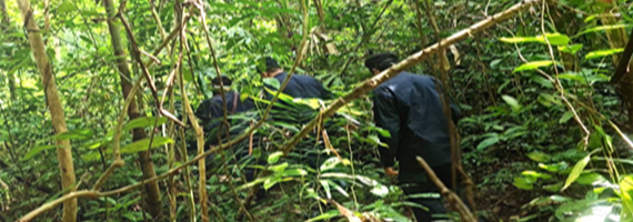 วันที่ 31 พฤษภาคม 2564 หน่วยป้องกันรักษาป่าที่ รย.2 (บ้านค่าย) ได้ออกตรวจลาดตระเวนในเขตพื้นที่รับผิดชอบบริเวณเขาตะเภาคว่ำ หมู่ที่ 7 ตำบลเพ อำเภอเมือง จังหวัดระยอง จำนวน 1 แปลง เนื้อที่ 14-2-41 ไร่ พื้นที่ป่ายังคงสภาพเป็นป่าสมบูรณ์ ไม่พบการกระทำความผิดตามกฏหมายว่าด้วยการป่าไม้