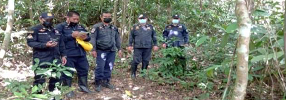 วันที่ 31 พฤษภาคม 2564 เจ้าหน้าที่หน่วยป้องกันและพัฒนาป่าไม้บ่อไร่ เจ้าหน้าที่หน่วยป้องกันรักษาป่าที่ ตร.3 (มะนาว) ได้ออกตรวจลาดตระเวนในเขตพื้นที่รับผิดชอบ ในเขตป่าสงวนแห่งชาติป่าเขาสมิง (ป่าคลองใหญ่และป่าเขาไฟไหม้) บริเวณป่าเขาคลองปุก หมู่ที่ 4 ตำบลช้างทูน อำเภอบ่อไร่ จังหวัดตราด จำนวน 1 แปลง เนื้อที่ 188-2-24 ไร่ พื้นที่ป่ายังคงสภาพเป็นป่าสมบูรณ์ ไม่พบการกระทำความผิดตามกฏหมายว่าด้วยการป่าไม้