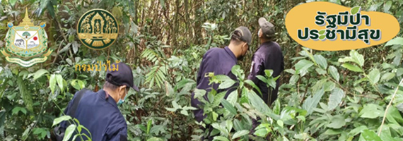 วันที่ 1 มิถุนายน 2564 เจ้าหน้าปน่วยป้องกันและพัฒนาป่าไม้เขาสมิง เจ้าหน้าที่หน่วยป้องกันรักษาป่าที่ ตร.1 (คลองสะตอ) ได้ออกตรวจลาดตระเวนพื้นที่ในเขตป่าสงวนแห่งขาติ ป่าเขาสมิง (ป่าคลองใหญ่และป่าเขาไฟไหม้) บริเวณเขามะปริง หมู่ที่ 5 บ้านคลองปุก ตำบลสะตอ อำเภอเขาสมิง จังหวัดตราด จำนวน 1 แปลง เนื้อที่ 304-2-23 ไร่ ไม่พบการกระทำความผิดตามกฏหมายว่าด้วยการป่าไม้