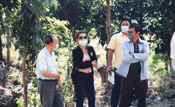 นางสาวจิรภา จิตคงสง ผู้อำนวยการส่วนประชาสัมพันธ์และเผยแพร่ ลงพื้นที่ร่วมกับสื่อมวลชน ติดตามการประชาสัมพันธ์ส่งเสริมปลูกไม้เศรษฐกิจ ในพื้นที่ ส.ป.ก.