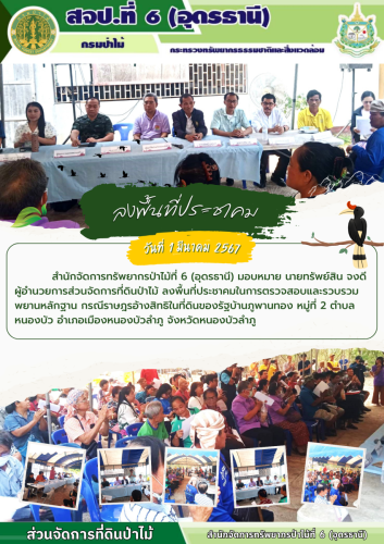One-Page-ป่าไม้