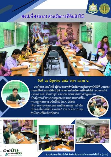 รูปแบบOne-Pageป่าไม้-3