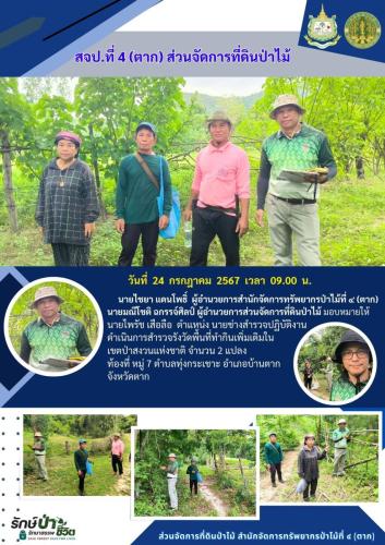 รูปแบบOne-Pageป่าไม้-6