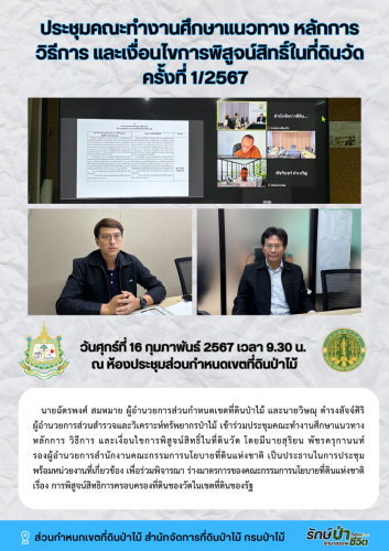 สีขาว-สีส้ม-เรียบง่าย-ประกาศ-ตามหา-แมวหาย-ใ