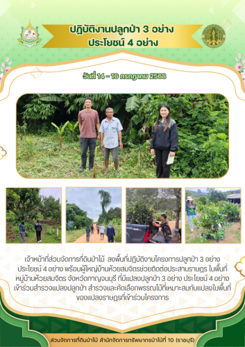 สีน้ำตาล-สีเขียว-เรียบง่าย-จิตอาสา-ปลูกป่า-