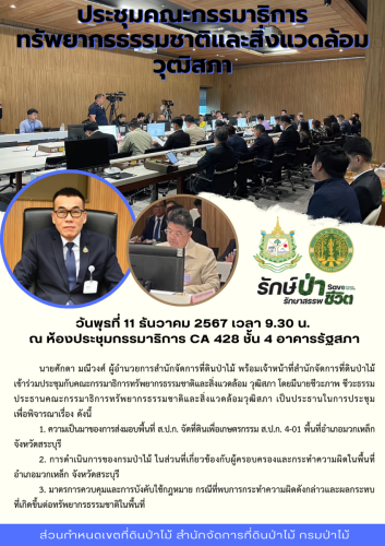 สีเขียว-สีครีม-ทันสมัย-ท่องเที่ยว-เขาใหญ่-A4-