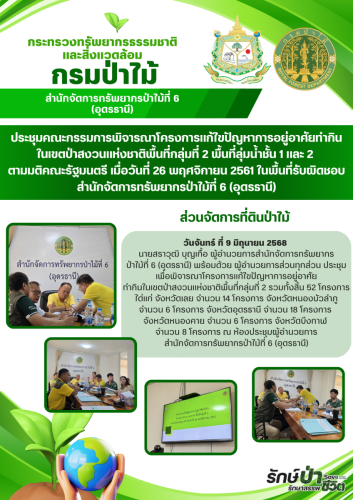 สีเขียวและสีฟ้า-ทางการ-โมเดิร์น-ประชาสัมพ