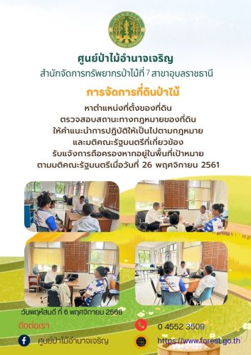 สีเหลือง-สีเขียว-ภาพประกอบ-ตลาดนัด-งานเกษต