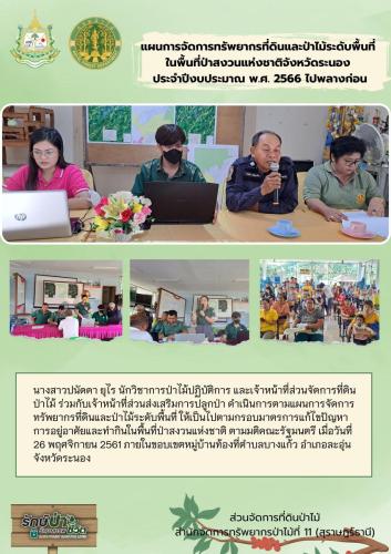 แผนการจัดการทรัพยากรที่ดินและป่าไม้ระดั