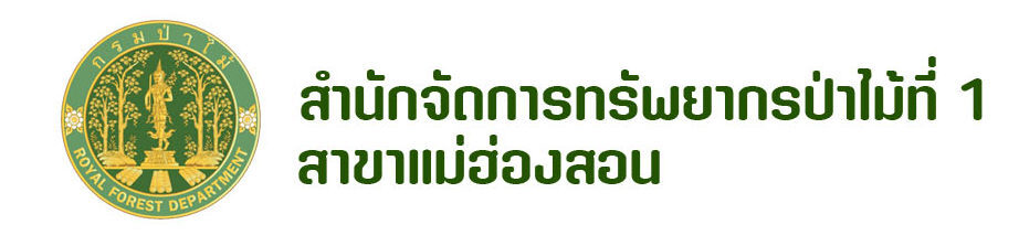 กลับไปหน้าแรก