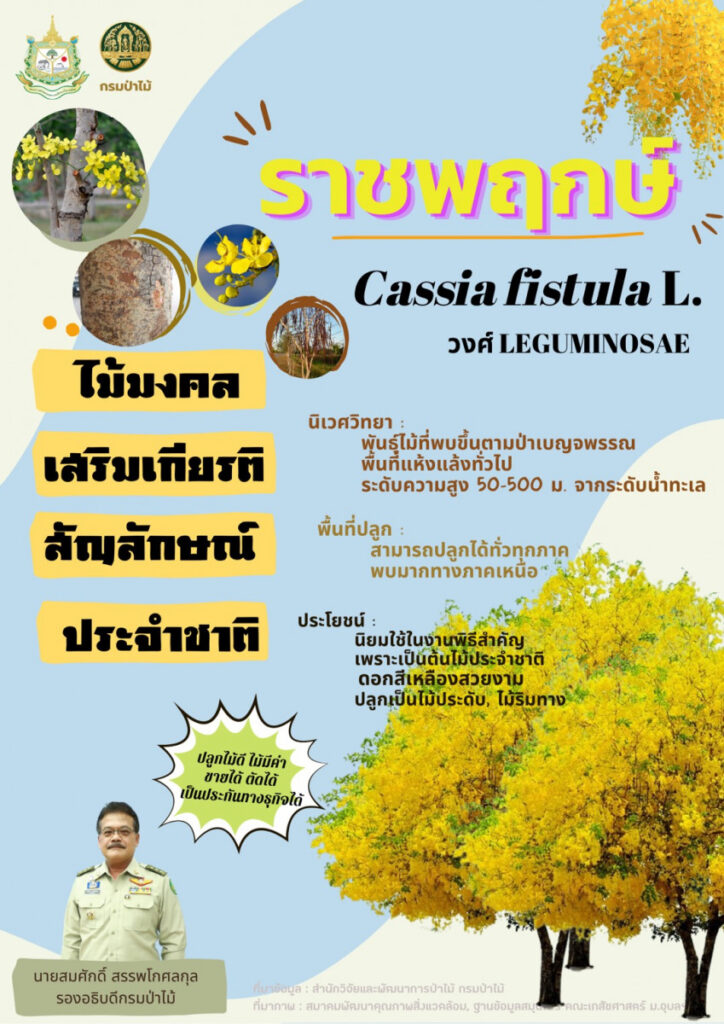 ราชพฤกษ์