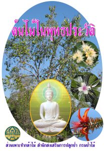 ต้นไม้ในพุทธประวัติ