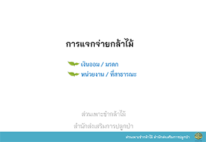 การแจกจ่ายกล้าไม้