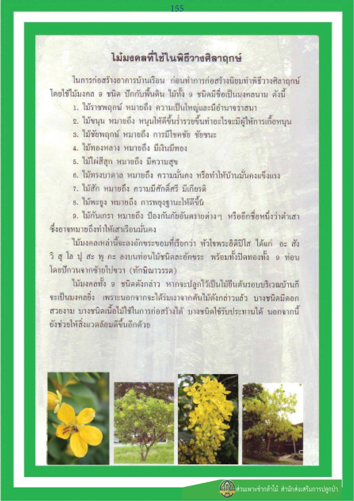 ไม้มงคล ๙ ชนิด : ไม้มงคลที่ใช้ในพิธีวางศิลาฤกษ์