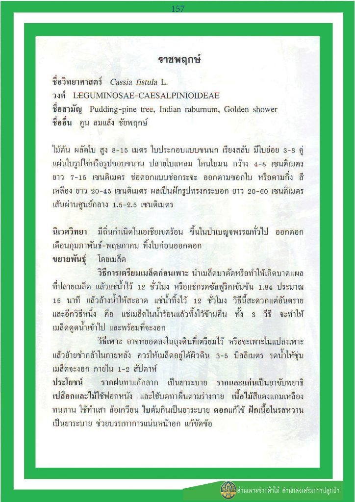 ไม้มงคล ๙ ชนิด : ราชพฤกษ์