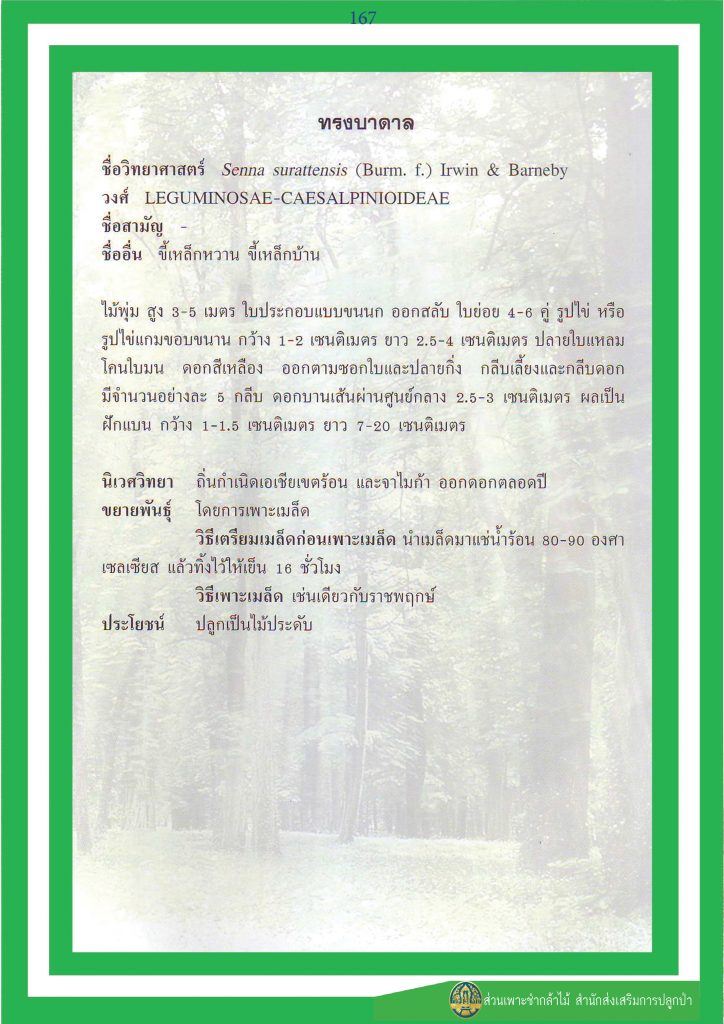 ไม้มงคล ๙ ชนิด : ทรงบาดาล