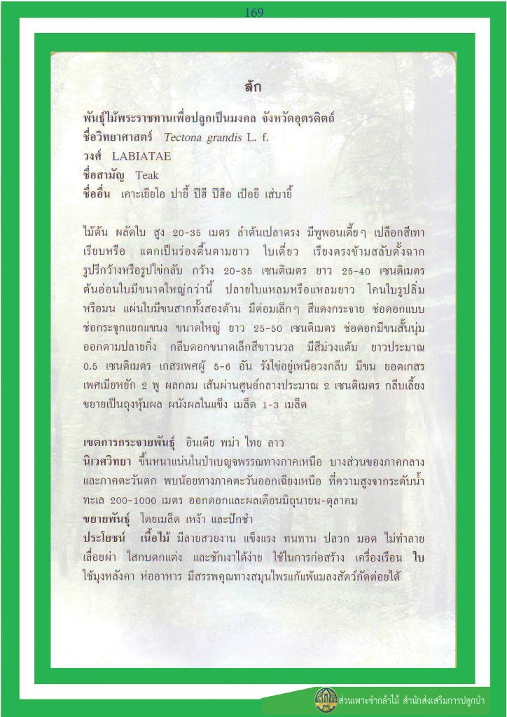 ไม้มงคล ๙ ชนิด : สัก