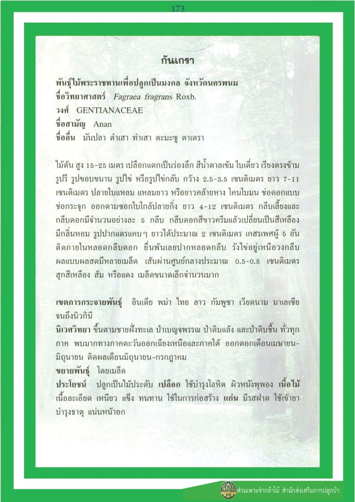 ไม้มงคล ๙ ชนิด : กันเกรา