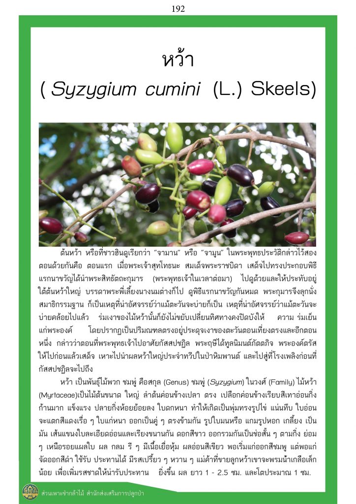 ต้นไม้ในพุทธประวัติ : ต้นหว้า
