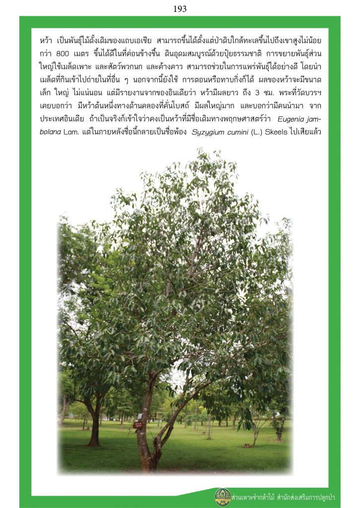 ต้นไม้ในพุทธประวัติ : ต้นหว้า