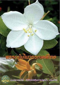 พรรณไม้ในวรรณคดีไทย