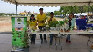 ปลูกเลย1