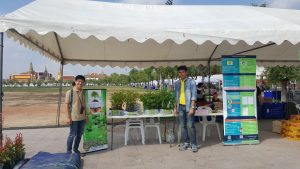 ปลูกเลย11