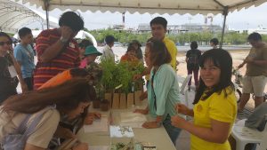 ปลูกเลย4