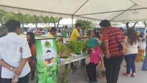 ปลูกเลย5