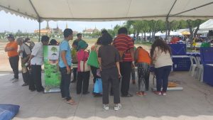 ปลูกเลย6