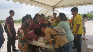 ปลูกเลย7