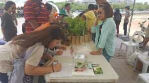 ปลูกเลย8