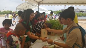 ปลูกเลย9