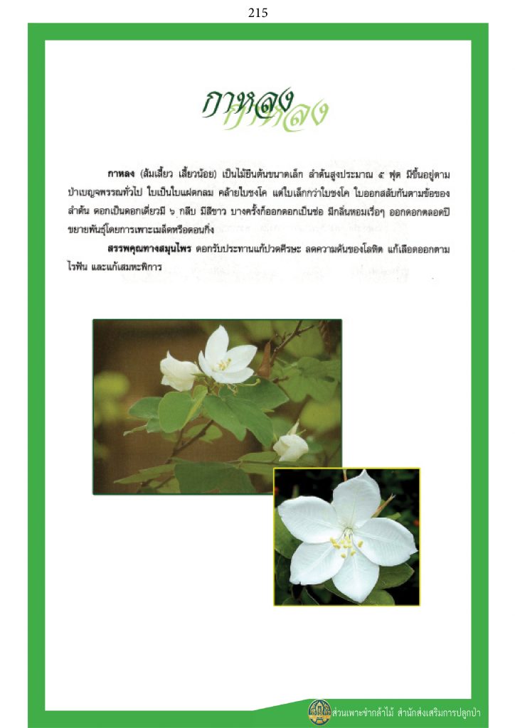 พรรณไม้ในวรรณคดีไทย : กาหลง