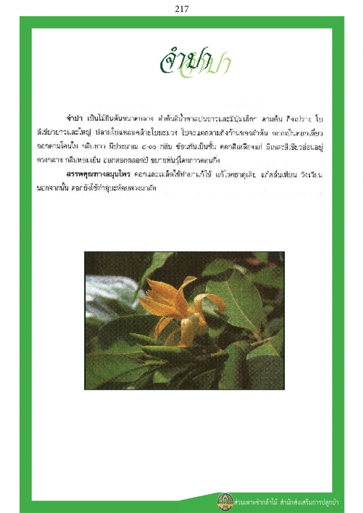 พรรณไม้ในวรรณคดีไทย : จำปา