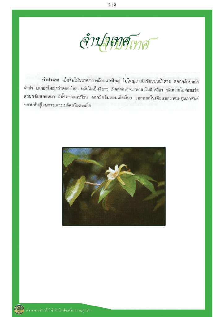 พรรณไม้ในวรรณคดีไทย : จำปาเทศ