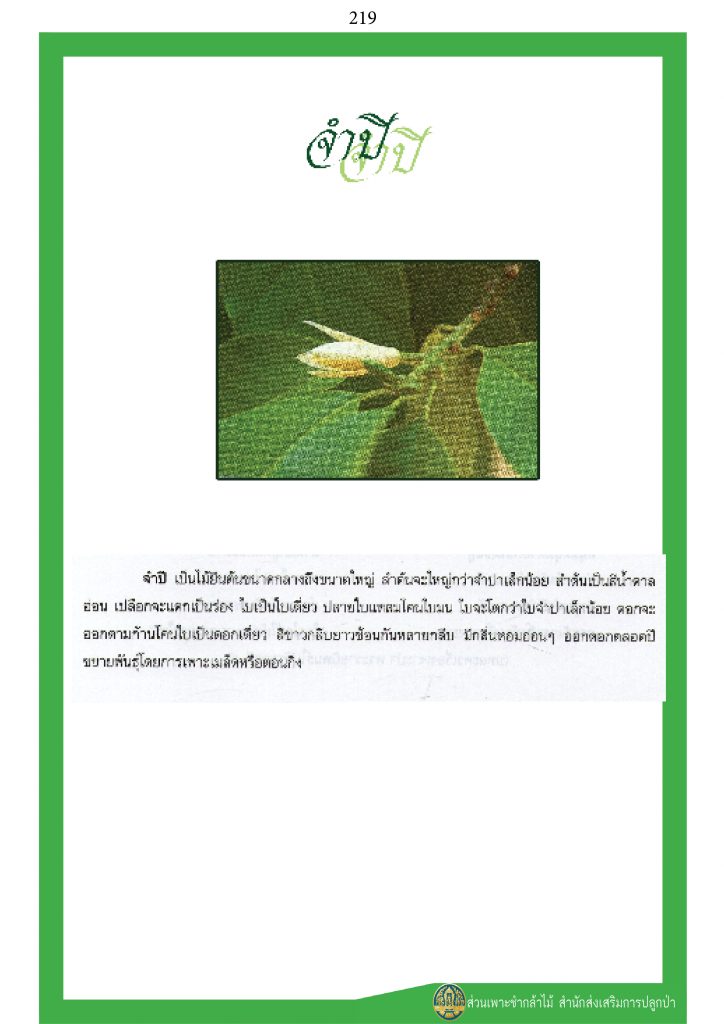 พรรณไม้ในวรรณคดีไทย : จำปี