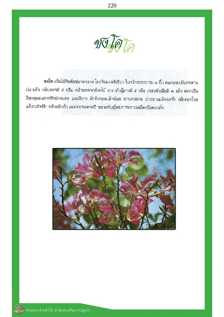 พรรณไม้ในวรรณคดีไทย : ชงโค