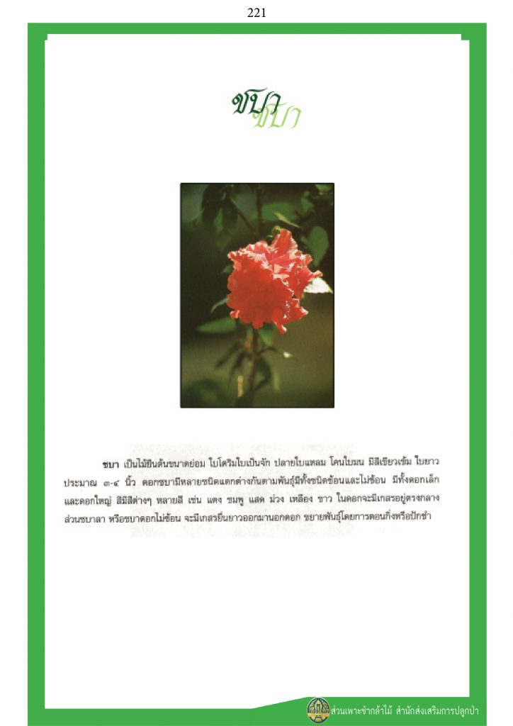 พรรณไม้ในวรรณคดีไทย : ชบา