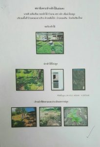 สถานีเพาะชำกล้าไม้แม่แตง จังหวัดเชียงใหม่ - แปลงปลูกต้นไม้ 59 แปลงที่ 2